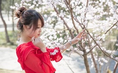 十分钟免费观看在线大全直播